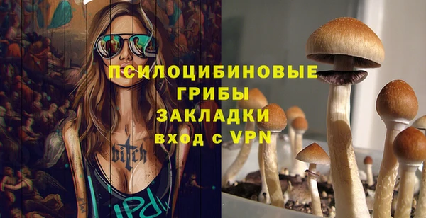 прущий лед Белокуриха