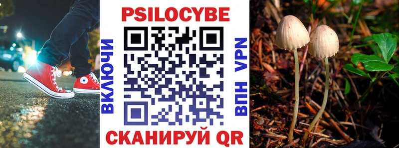 где купить наркоту omg зеркало Псилоцибиновые грибы Psilocybe Ханты-Мансийск